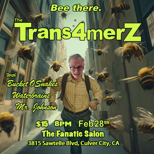 trans4merz, improv